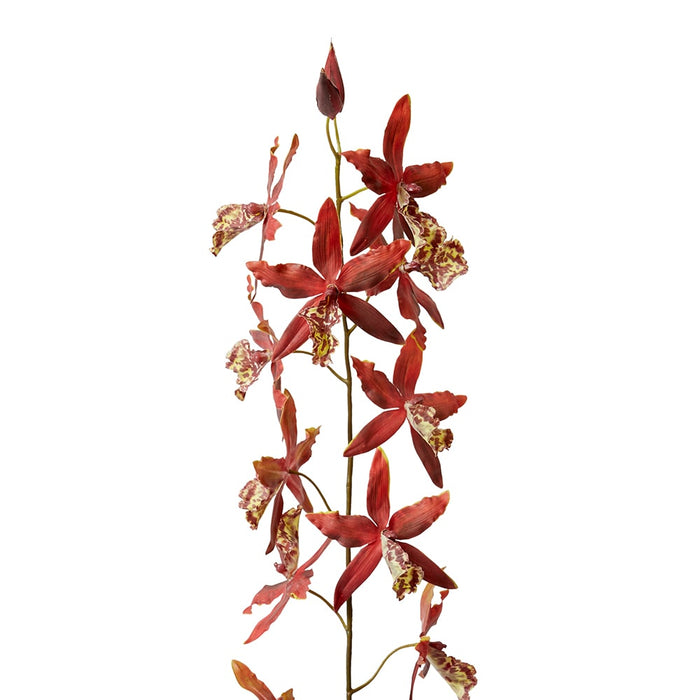 Orchid Oncidium Stem Pack of 6 - Red, 109cm (H)