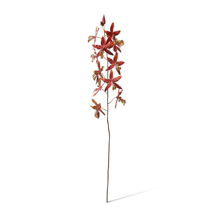 Orchid Oncidium Stem Pack of 6 - Red, 109cm (H)