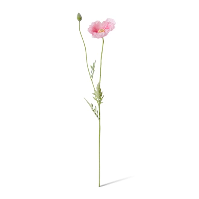 Poppy Spray Pack Of 12 - Pink, 61cm (H)