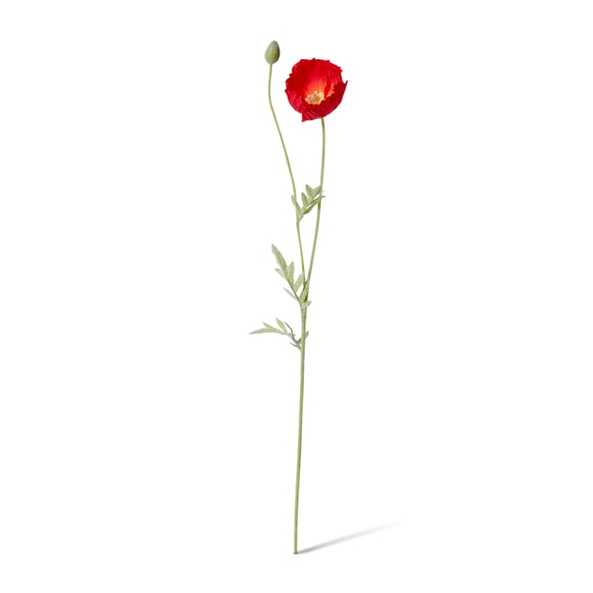 Poppy Spray Pack Of 12 - Red, 61cm (H)