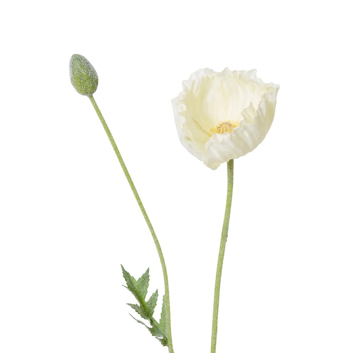 Poppy Spray Pack of 12 - White, 61cm (H)