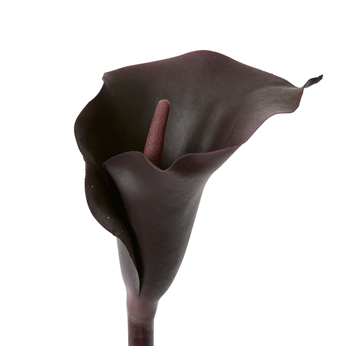 Lily Calla Stem Pack Of 12 - Burgundy, 81cm (H)