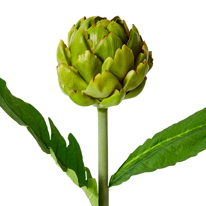 Artichoke Stem Pack of 12 - Green, 61cm (H)