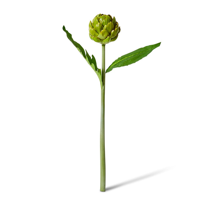Artichoke Stem Pack of 12 - Green, 61cm (H)