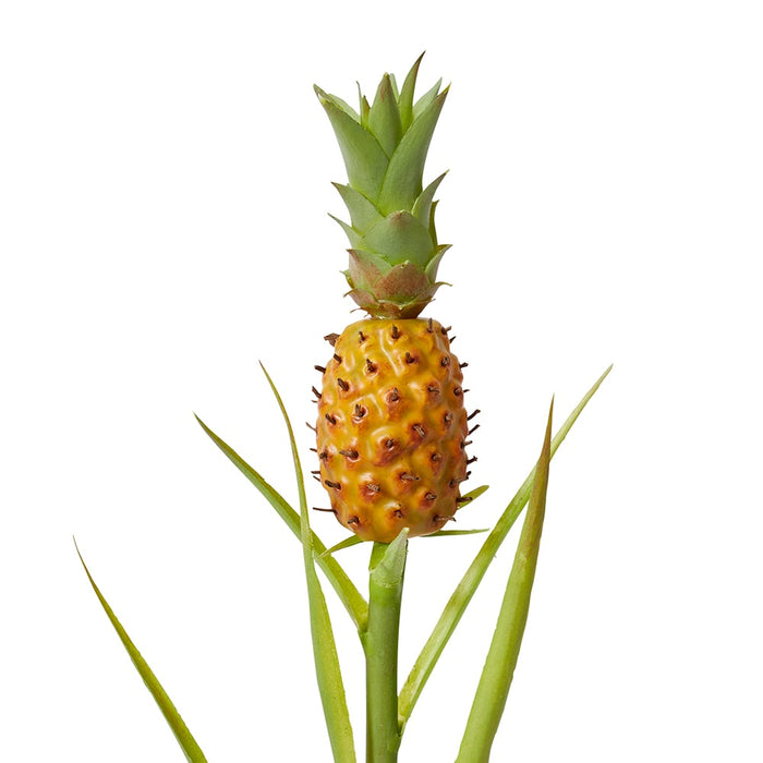 Pineapple Stem Pack of 12 - Orange/Green, 60cm (H)