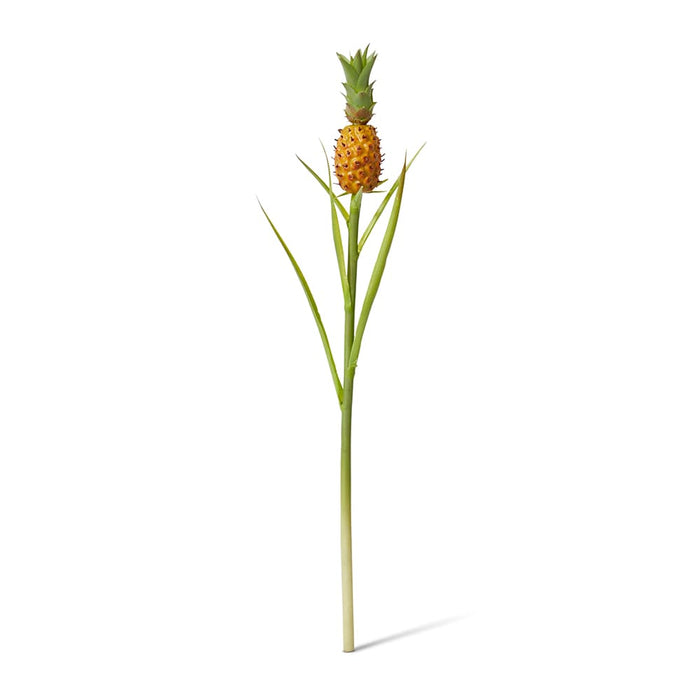 Pineapple Stem Pack of 12 - Orange/Green, 60cm (H)