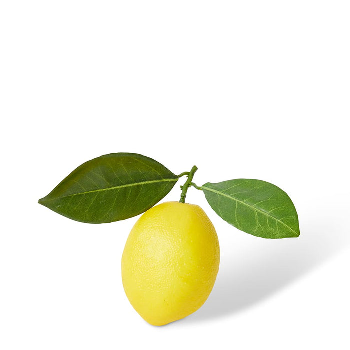 Lemon Twig Pack of 12 - Yellow, 10cm (H)