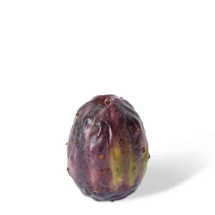 Prickly Pear Fruit Pack of 12 - Brown, 7cm (H)