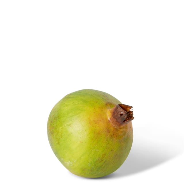 Pomegranate Grand Pack Of 6 - Green, 10cm (H)