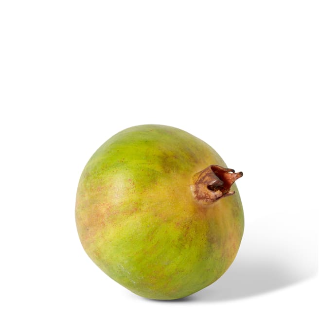 Pomegranate Grand Pack Of 6 - Green, 12cm (H)