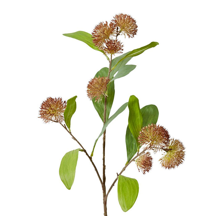 Sweet Gum Pom Pom Spray Pack of 12 - Brown, 71cm (H)