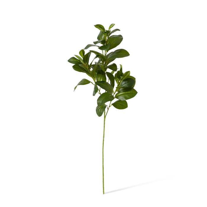Lush Leaf Spray Pack of 12 - Green, 75cm (H)