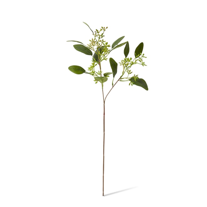 Eucy Seeding Spray Pack Of 24 - Green, 48cm (H)