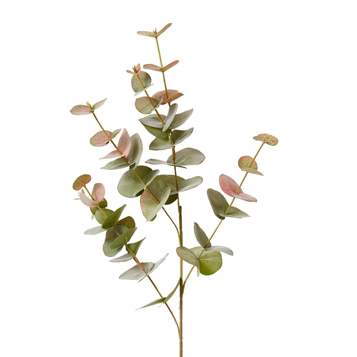 Eucalyptus Spray Pack of 12 - Green Pink, 86cm (H)