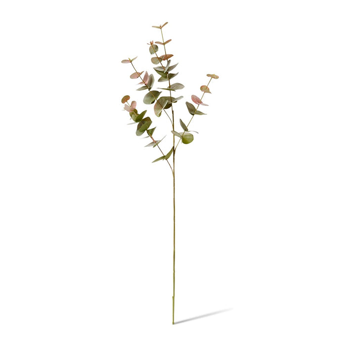 Eucalyptus Spray Pack of 12 - Green Pink, 86cm (H)
