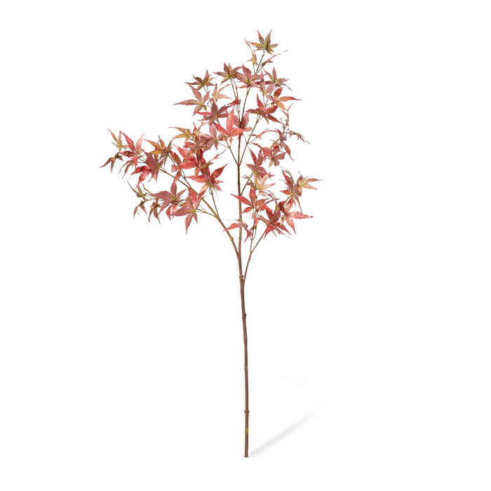 Maple Japanese Spray Pack of 12 - Green Red, 95cm (H)