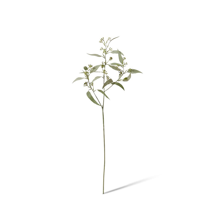 Eucalyptus Seeding Spray Pack of 12 - Grey Green, 61cm (H)