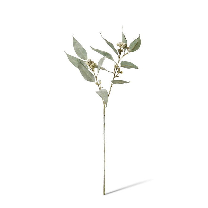 Eucy Gum Nut Spray Pack of 12 - Grey Green, 65cm (H)