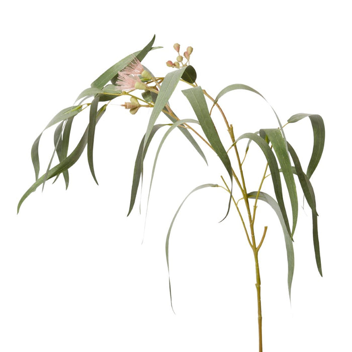 Eucy Flowering Spray Pack of 12 - Pink/Grey Green, 112cm (H)