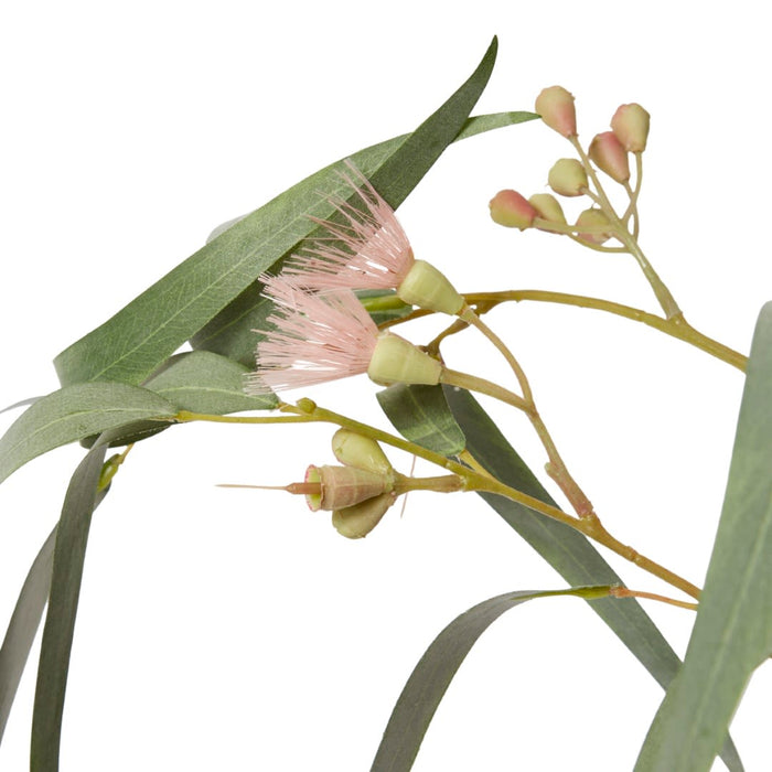 Eucy Flowering Spray Pack of 12 - Pink/Grey Green, 112cm (H)