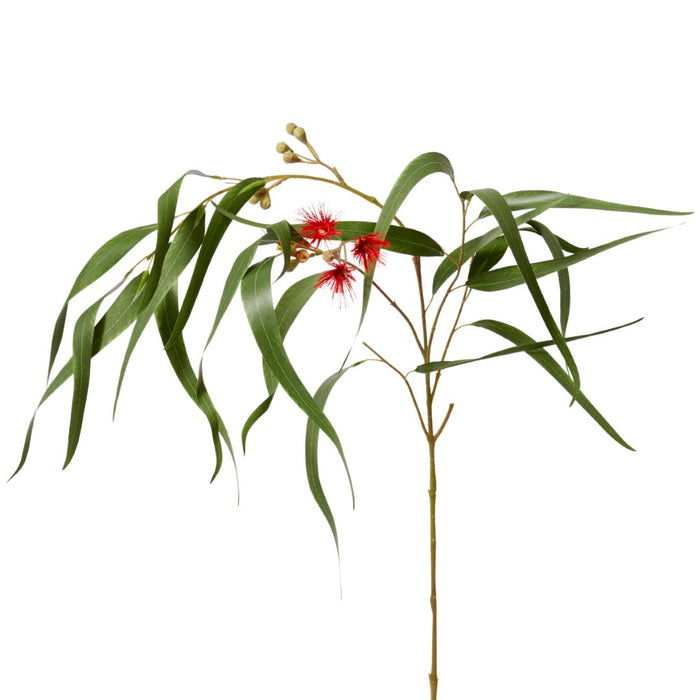 Eucy Flowering Spray Pack of 12 - Red/Green, 112cm (H)