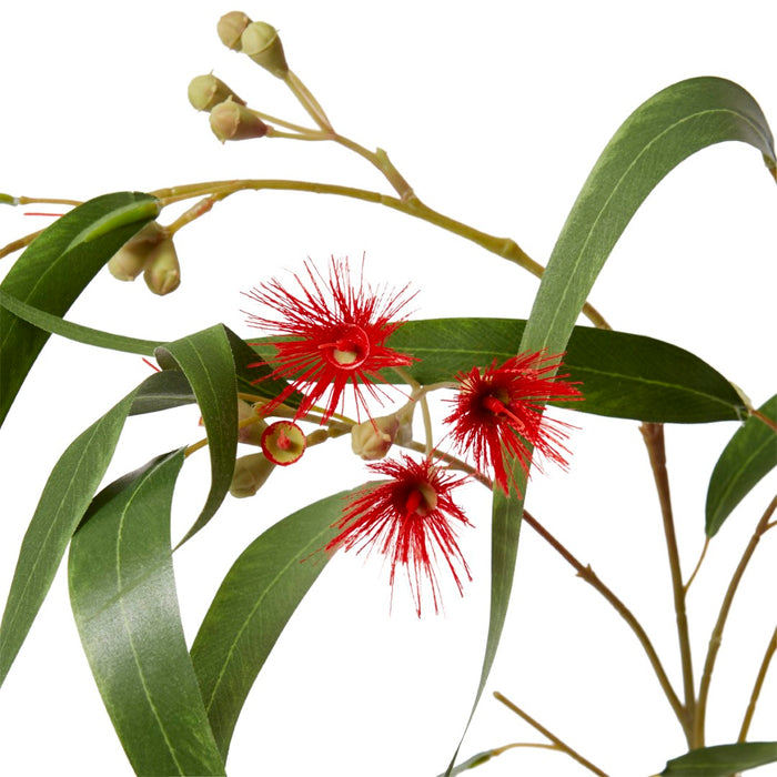 Eucy Flowering Spray Pack of 12 - Red/Green, 112cm (H)