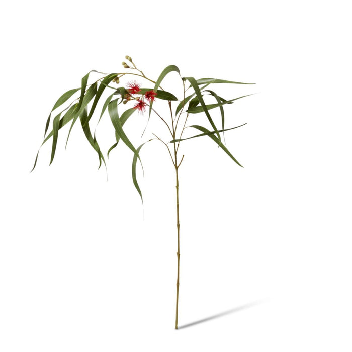 Eucy Flowering Spray Pack of 12 - Red/Green, 112cm (H)