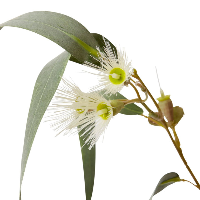 Eucy Flowering Spray Pack of 12 - White/Grey Green, 112cm (H)