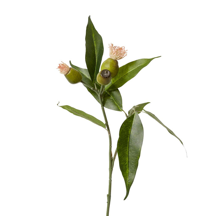 Eucy Nut Flowering Spray Pack of 12 - Pink/Green, 51cm (H)