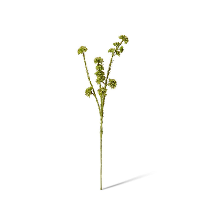 Seeding Mini Spray Pack of 12 - Green, 56cm (H)