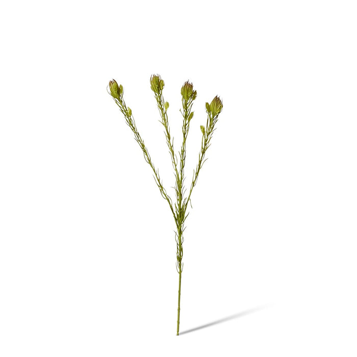Clubmoss Spray Pack of 12 - Green Brown, 46cm (H)