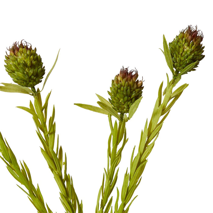 Clubmoss Spray Pack of 12 - Green Brown, 56cm (H)