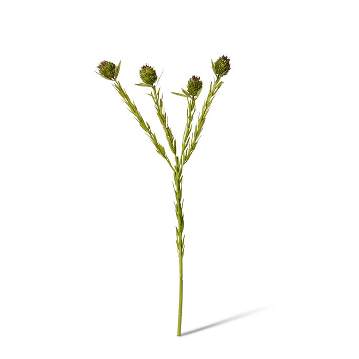 Clubmoss Spray Pack of 12 - Green Brown, 56cm (H)