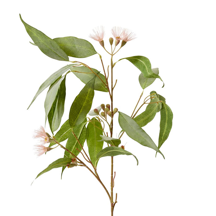Eucalyptus Flowering Spray Pack of 12 - Pink/Green, 91cm (H)