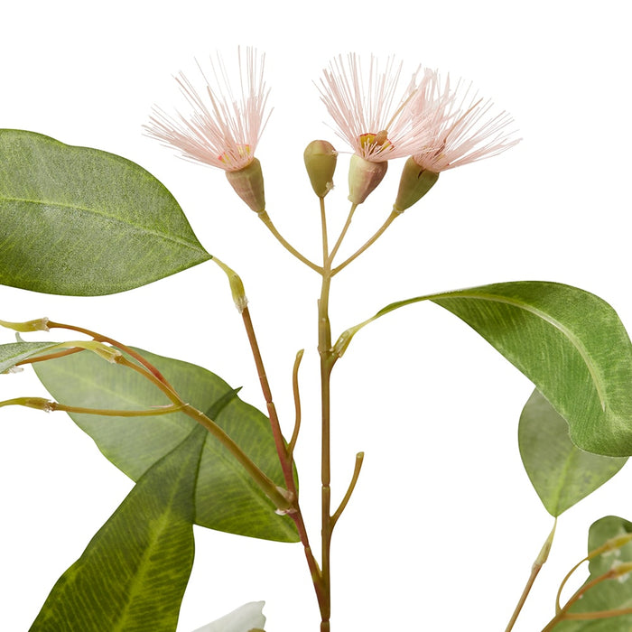 Eucalyptus Flowering Spray Pack of 12 - Pink/Green, 91cm (H)