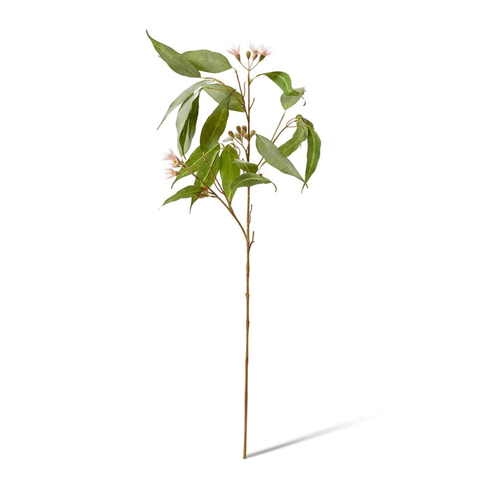 Eucalyptus Flowering Spray Pack of 12 - Pink/Green, 91cm (H)