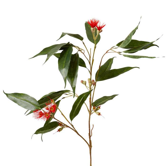 Eucalyptus Flowering Spray Pack of 12 - Red/Green, 91cm (H)