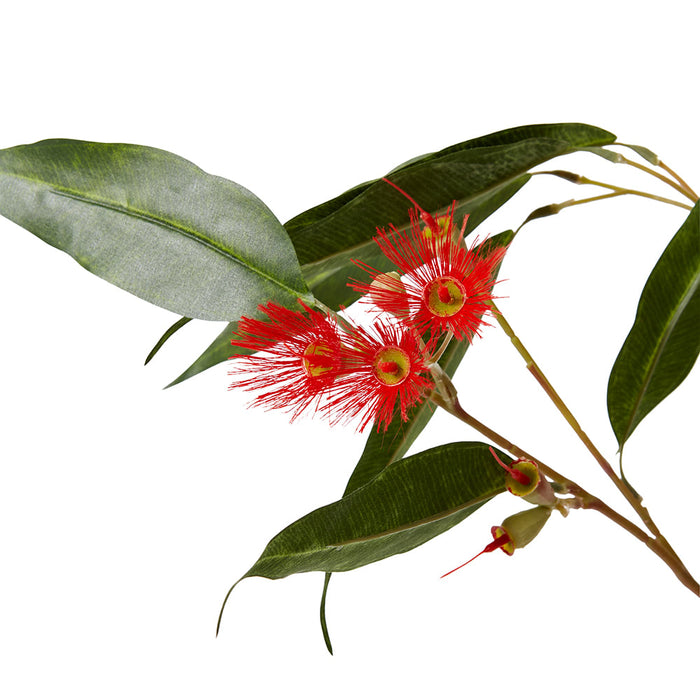 Eucalyptus Flowering Spray Pack of 12 - Red/Green, 91cm (H)