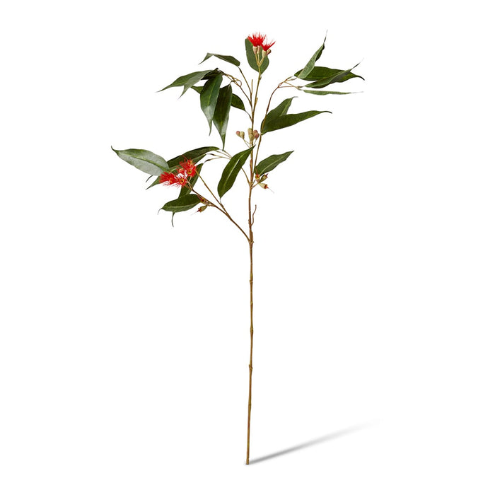 Eucalyptus Flowering Spray Pack of 12 - Red/Green, 91cm (H)