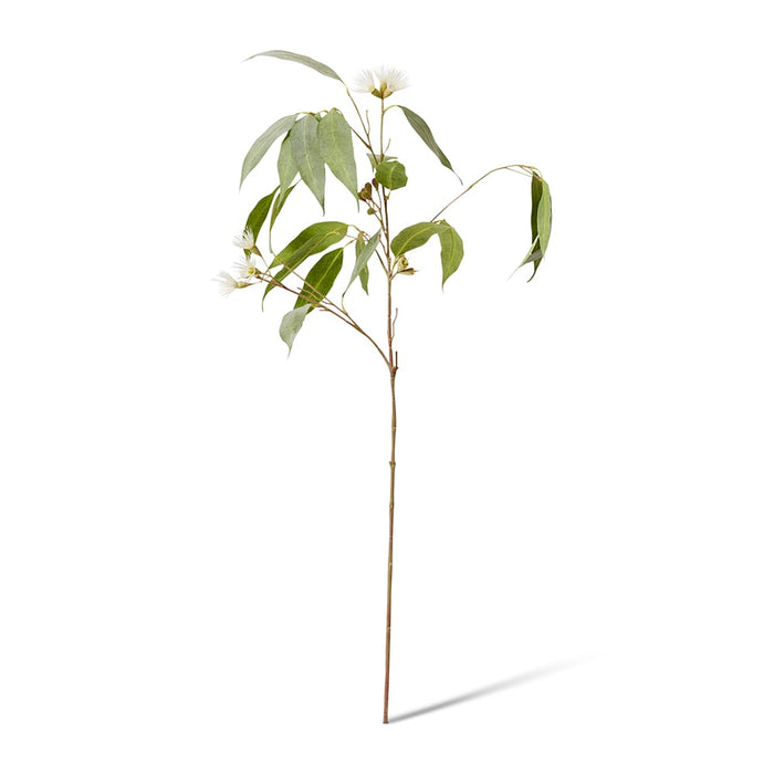 Eucalyptus Flowering Spray Pack of 12 - White/Green, 91cm (H)