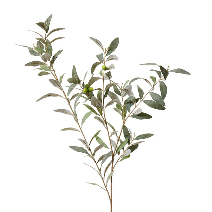 Olive Leaf Branch Pack of 6 - Grey Green, 114cm (H)
