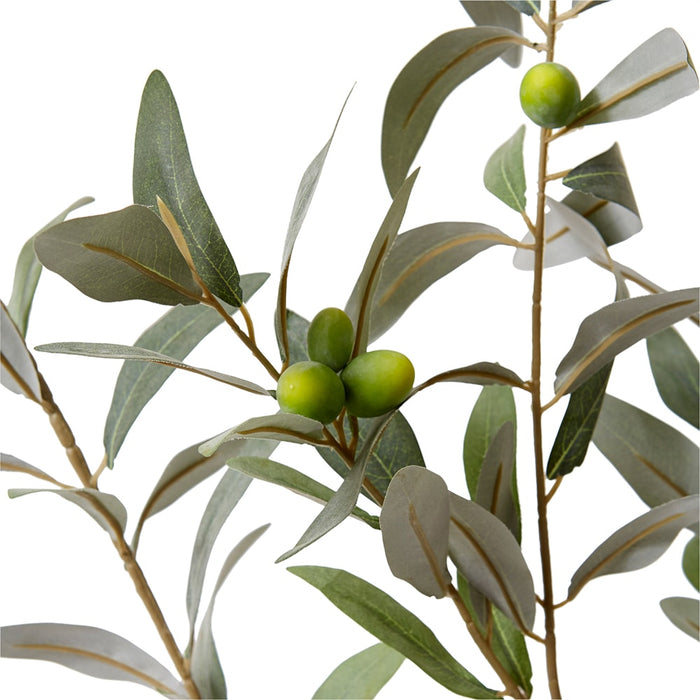 Olive Leaf Branch Pack of 6 - Grey Green, 114cm (H)