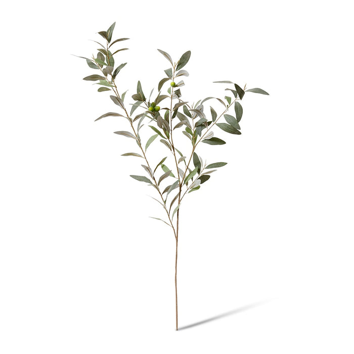 Olive Leaf Branch Pack of 6 - Grey Green, 114cm (H)