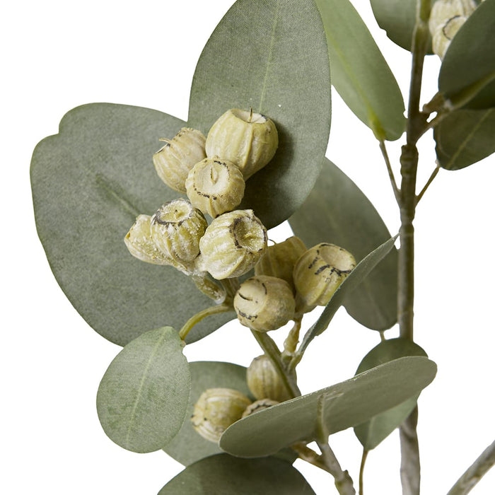 Eucy Gum Nut Spray Pack of 6 - Grey Green, 61cm (H)