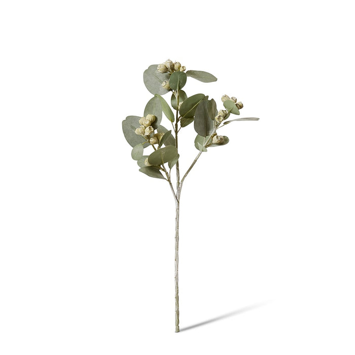 Eucy Gum Nut Spray Pack of 6 - Grey Green, 61cm (H)