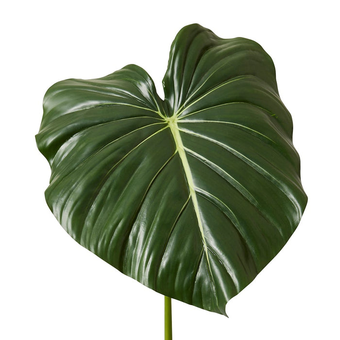 Philodendron Leaf Stem Pack of 6 - Green, 96cm (H)