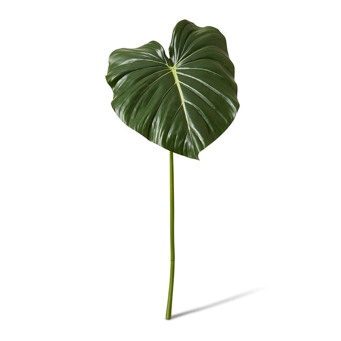 Philodendron Leaf Stem Pack of 6 - Green, 96cm (H)