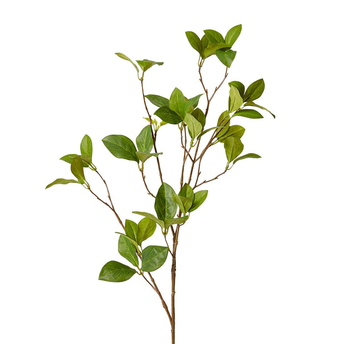 Enki Leaf Spray Pack of 12 - Green, 84cm (H)