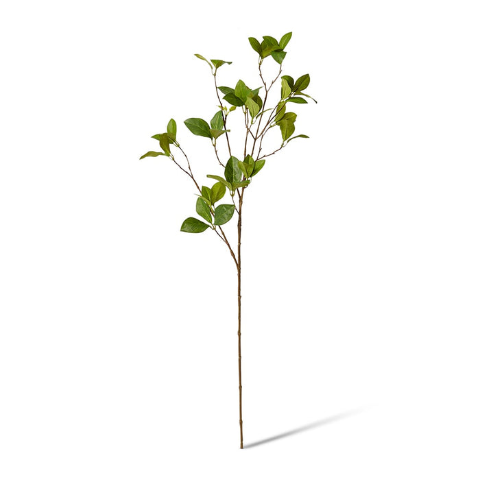 Enki Leaf Spray Pack of 12 - Green, 84cm (H)