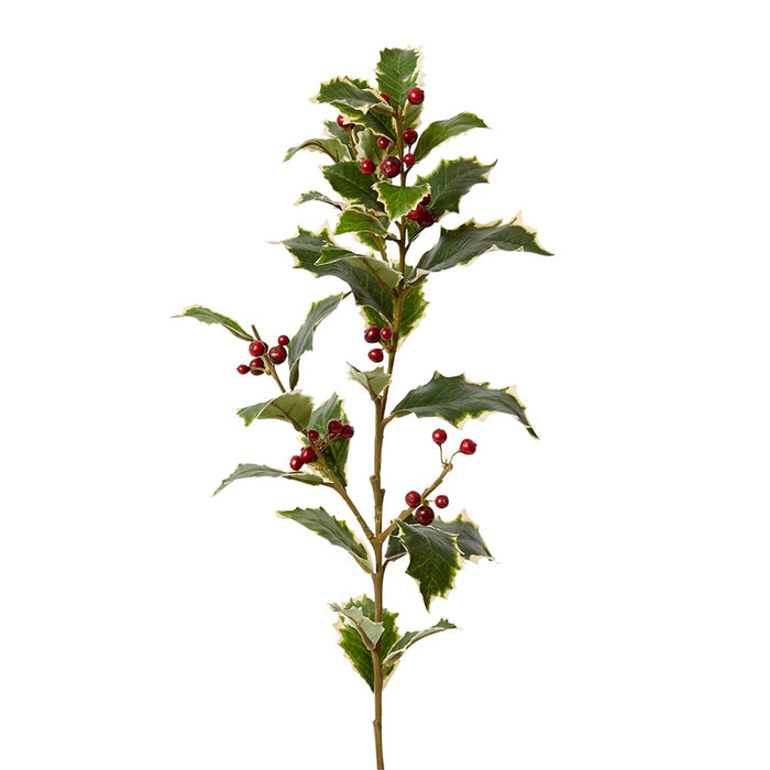 Holly Spray Pack of 12 - Red/Variegated, 74cm (H)